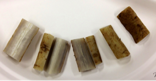 image-20120115190254.png