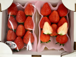 image-20120115192649.png