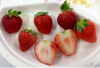 image-20120115193209.png