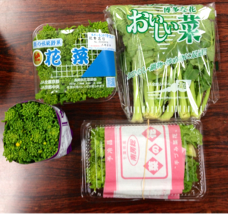 image-20120219195846.png