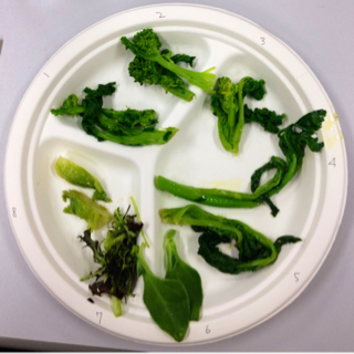 image-20120219201814.png