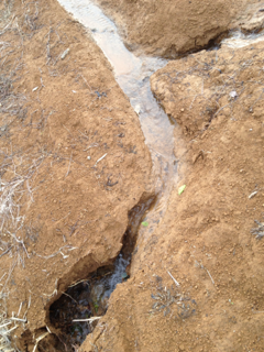 image-20120522194904.png