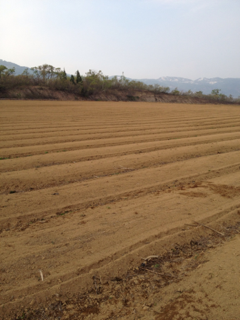 image-20120522195101.png