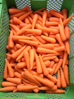image-20120522195258.png